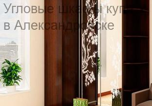 Угловые шкафы купе
